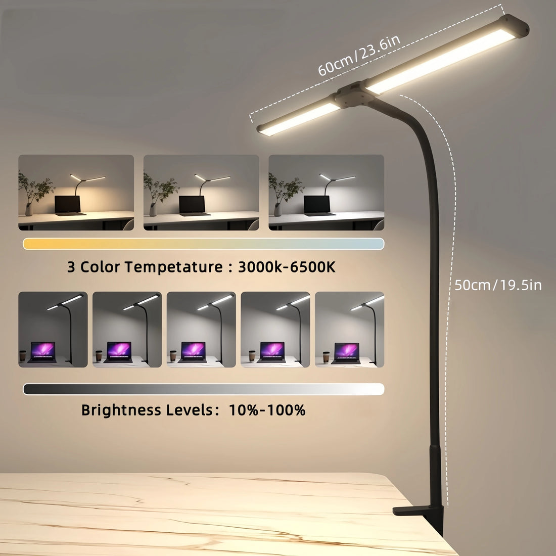 Double Head LED Desk Lamp