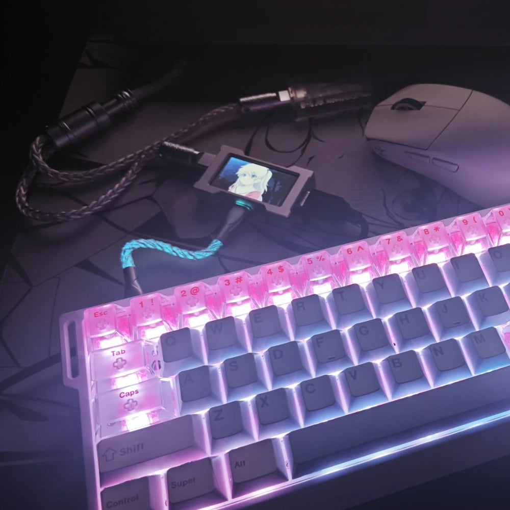 ZNEO Gaming USB Hub Desk Setup